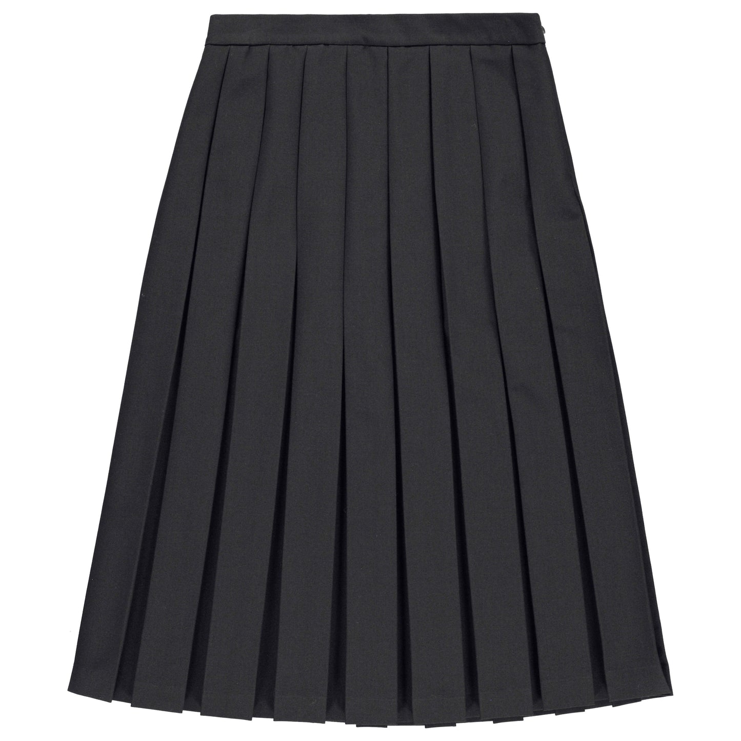 Lory Box Pleated A-Line Flared Skirt